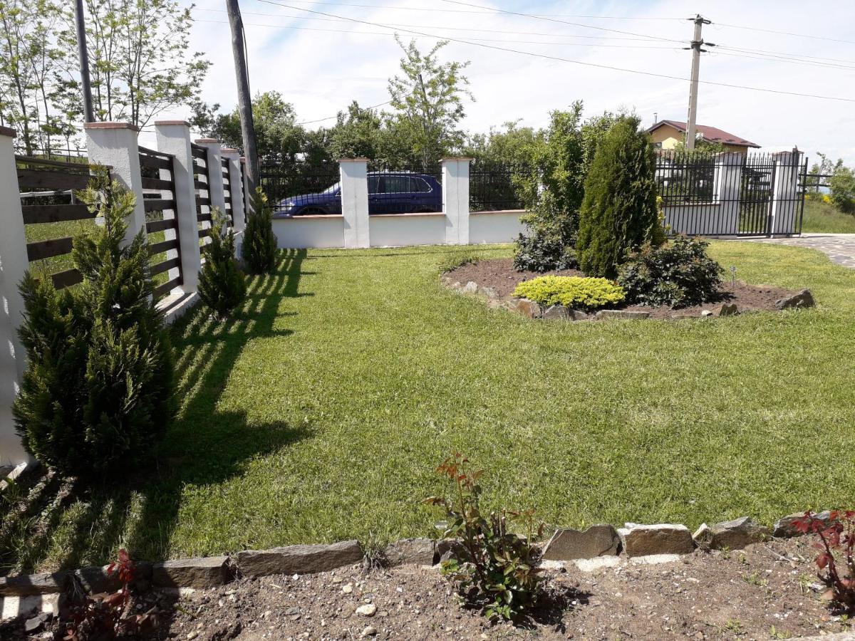 Vila Aloman Sebes  Exterior photo