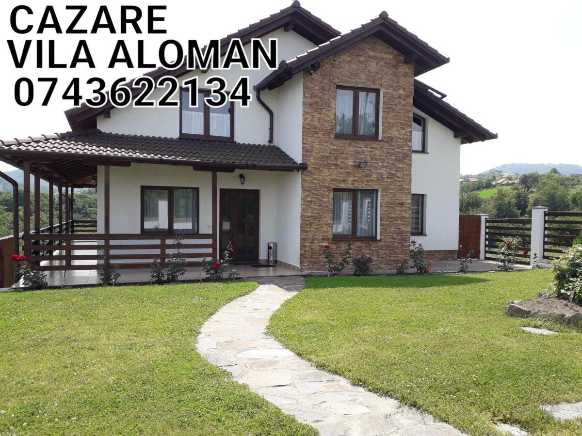 Vila Aloman Sebes  Exterior photo