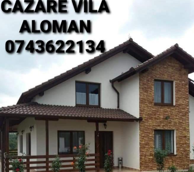 Vila Aloman Sebes  Room photo
